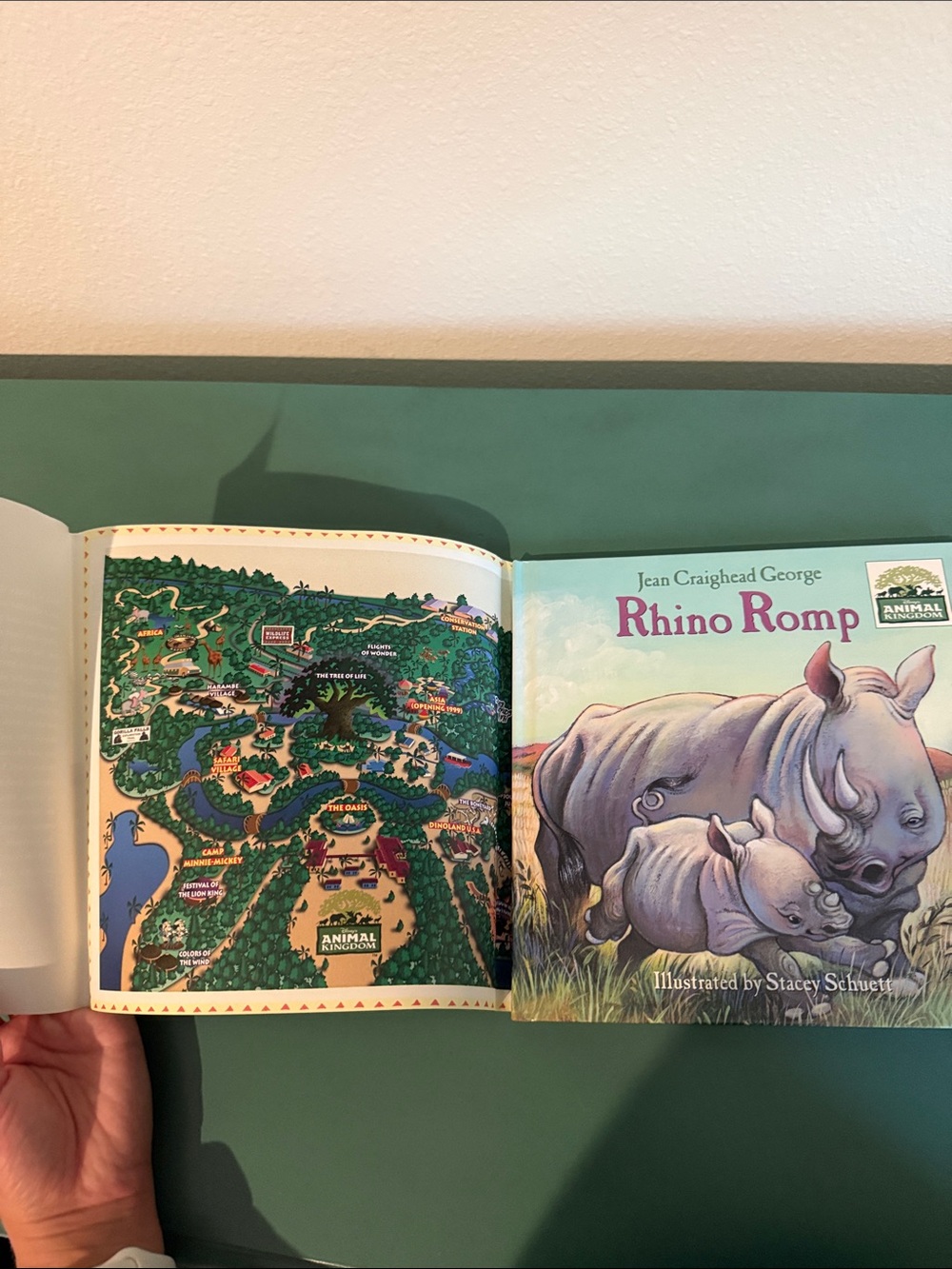 First Edition Rhino Romp Disney Book - Picture 5 of 5